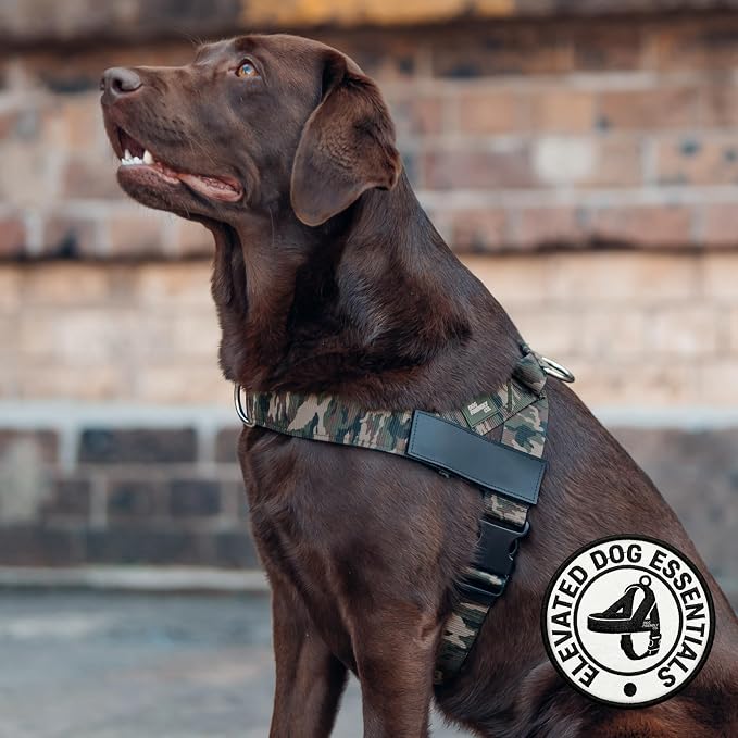 Dog Friendly Co. Dog Harness for Small Dogs (Green Camo, Large) | One Click Buckle, Chafe Resistant Webbing, Adjustable Neck & Chest, and Heavy Duty D-Ring, Sturdy Comfortable and Easy to Use