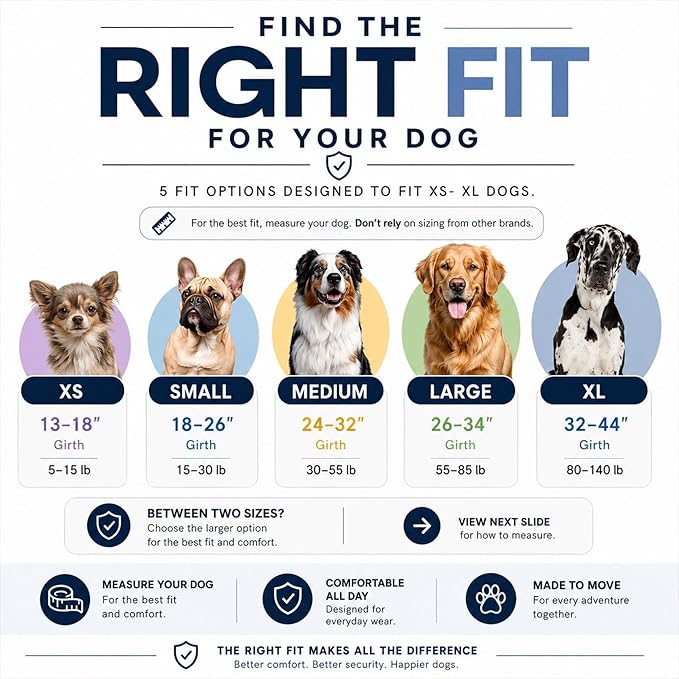 ShawnCo Essential Dog Harness, No-Pull Pet Vest (Orchid,S) | 3 Leash Clips, Easy On, No-Choke, Reflective, Adjustable Fit, Padded Comfort, Control Handle, For Small, Medium & Large Dogs