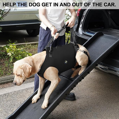 Coodeo Dog Lift Harness, Pet Support & Rehabilitation Sling Lift Adjustable Padded Breathable Straps for Old, Disabled, Joint Injuries, Arthritis, Loss of Stability Dogs Walk (Black, XL)
