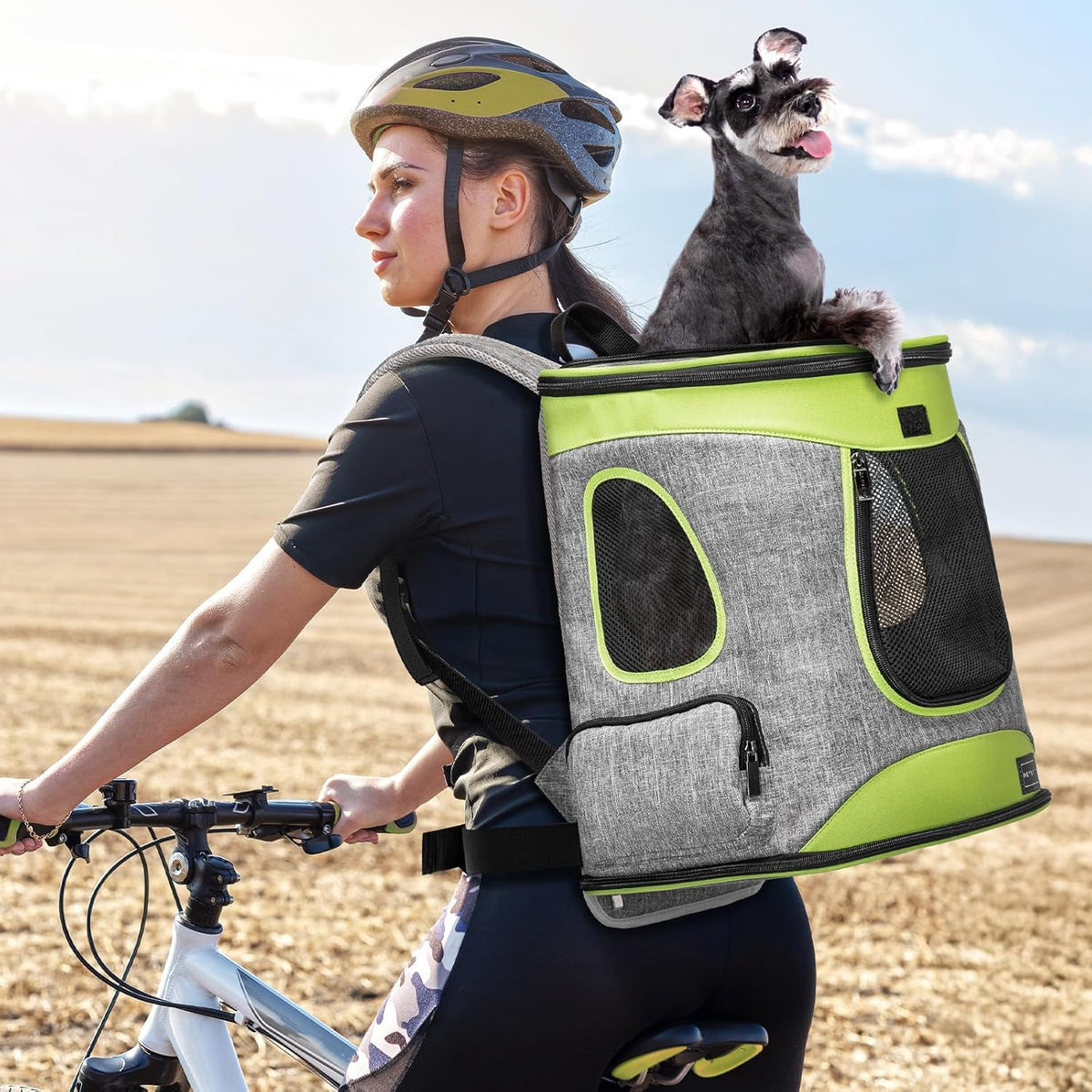 Petsfit Pet Backpack Carrier Easy-Fit Dog Travel Backpack Carrier for Hiking Walking Cycling Suitable for Small Medium Dogs Cats and Rabbits up to 22 Pounds, Green