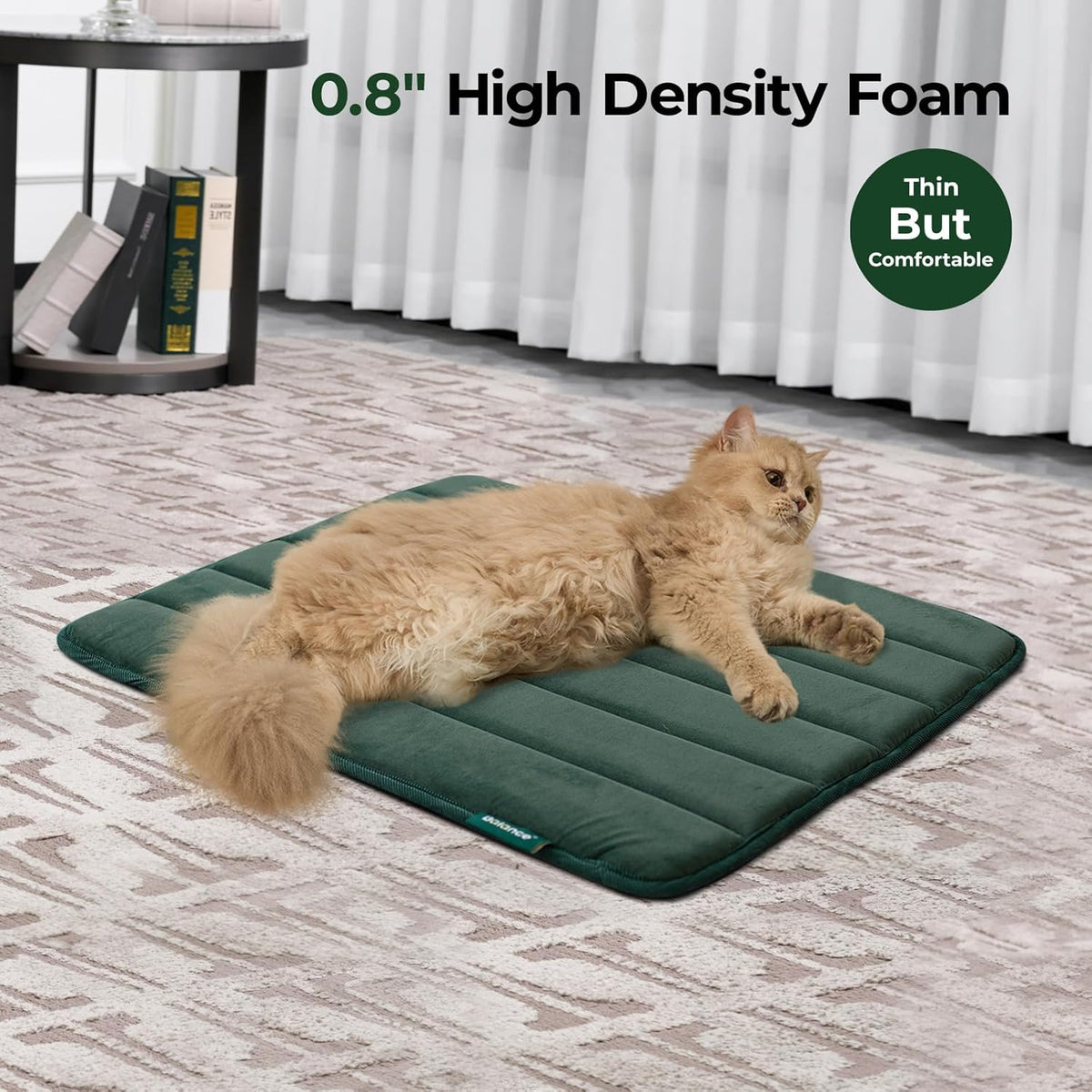 BALANCE Dog Crate Pad, Dog Foam Crate Mat Kennel Pad, Washable Water-Resistant Pet Bed Flat Dogs Cage Mat for Small Dogs