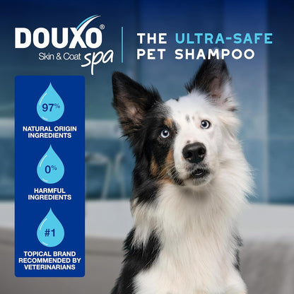 DOUXO® Skin & Coat SPA - Ultra-Safe Quick Refresh Leave-on Mousse for Dogs, 10 fl oz, Safely Cleans and Refreshes, Leaves The Coat Soft, Radiant and Smelling Great, Skin-Friendly Formula