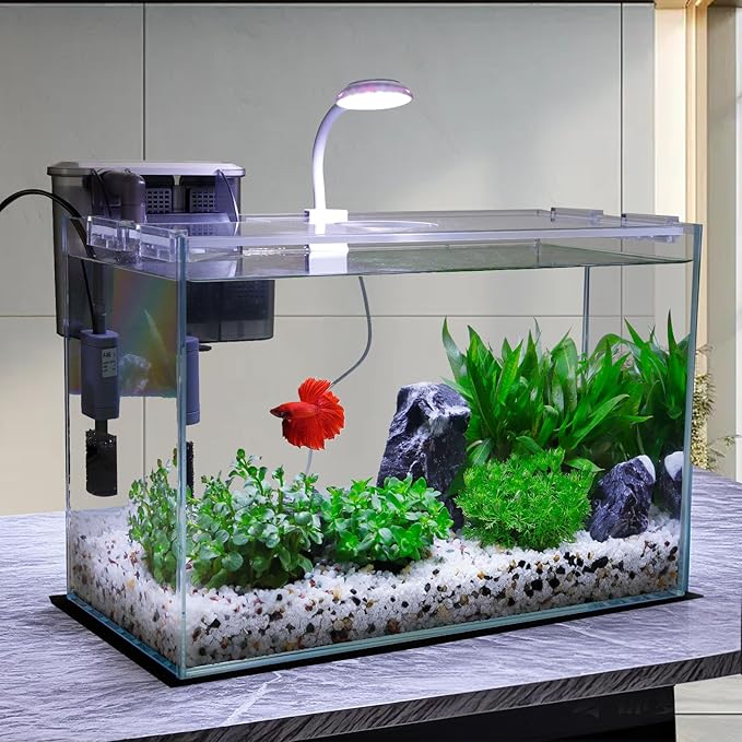 Vimvins 5 Gallon Glass Small Fish Tank with Filter Light and Lid, Betta Aquarium Starter Kits