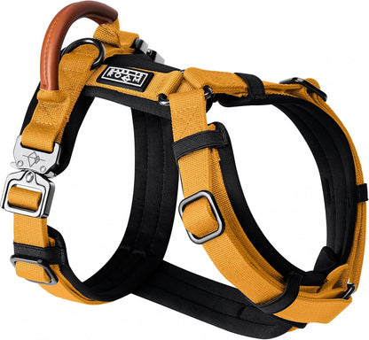 MADE TO ROAM Premium Explorer Harness - Y-Shaped Dog Harness with Adjustable Durable Nylon, Soft Padding, Metal Buckles and Leather Handle for Small, Medium, Large Dogs (Michigan Autumn, Size 5)