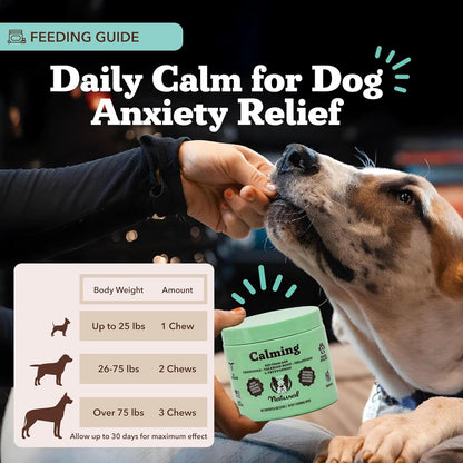 Natural Dog Company Calming Chews for Dogs, Stress & Anxiety Relief Supplement with Chamomile, Valerian Root & Melatonin, Natural Soothing Chews for Travel, Thunder, Fireworks & Separation (90 cnt)