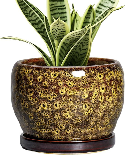 SQOWL 6 Inch Plant Pot - Ceramic Flower Pots with Drainage Hole and Saucer, Ceramic Planter for Indoor Plants Outdoor, Round Decorative Small Planter, Table Desk Decor, Housewarming Gifts, Yellow