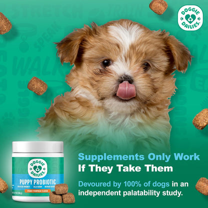 Doggie Dailies Puppy Probiotic, Probiotics for Puppies with Digestive Enzymes, Promotes Digestive Health, Supports Immune System & Overall Development (Pumpkin) 120 Soft Chews