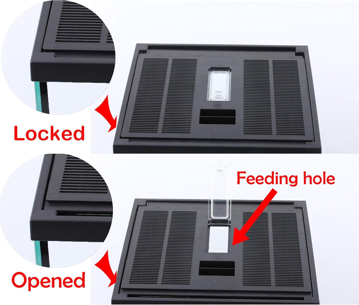 crapelles Black Small Vertical Insect GlassTerrarium, 7.8x7.8x10.8'' Reptile Tank, for Tarantula Larvae Caterpillar Frog Snail Spider Hermit Crab Habitat Container House Cricket Breeding Box