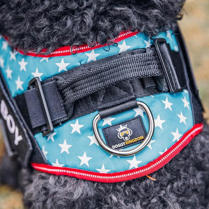 Personalized Dog Harness with Custom Name Patches, Adjustable Reflective No Choke Dog Vest with Handle for Extra Large Dog, USA, XL