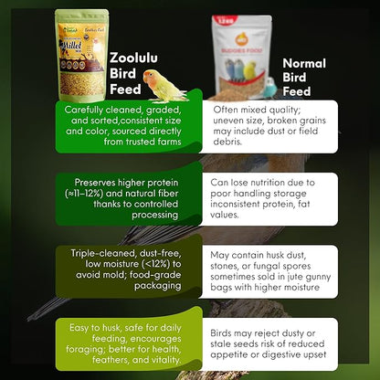 Danodia's Zoolulu Premium Cockatiel & Parrotlet Millet Mix (450g/1 lbs) | Premium Bird Food Blend for Cockatiels, Budgerigars, Parrotlets & Lovebirds | Daily Feeding Blend