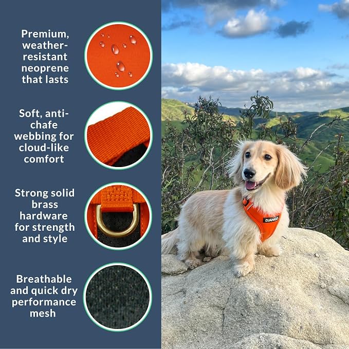 Adventure Dog Harness - Stylish, & Durable Large Dog Harness for Outdoor Adventures and Everyday Wear - Sunset Orange Neoprene Adjustable Harness for Dogs with Reflective Piping & Brass D-Ring