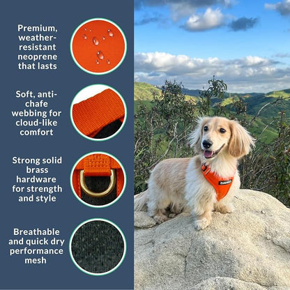 Adventure Dog Harness - Stylish, & Durable Large Dog Harness for Outdoor Adventures and Everyday Wear - Sunset Orange Neoprene Adjustable Harness for Dogs with Reflective Piping & Brass D-Ring