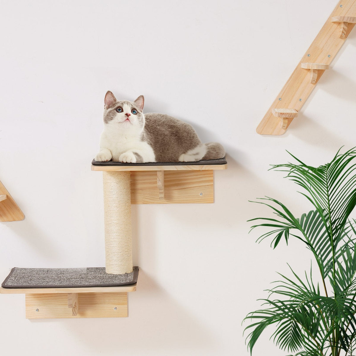 Wall Mounted Cat Shelves Tree With Jumping Boards Nests Hammock Set Of 7