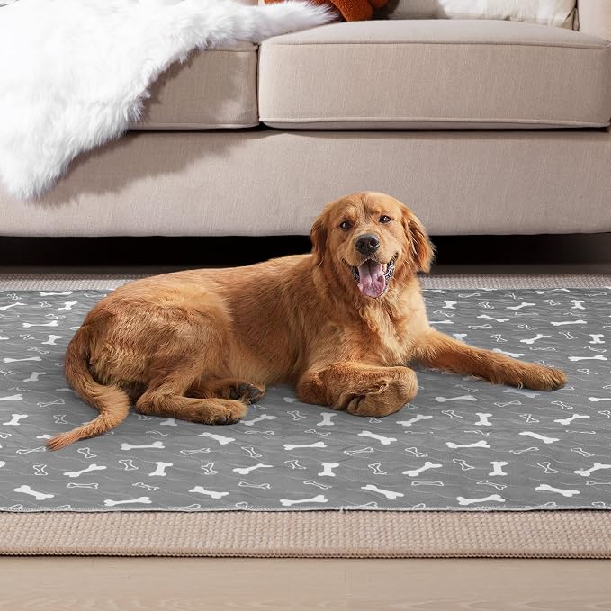 Eterish Reusable Washable Pee Pads for Dogs Extra Large 47'' x 47'' 2 Pack, Absorbent Pet Puppy Dog Training Pads Non-Slip, Waterproof Whelping Potty Pads for Dogs Leak-Proof