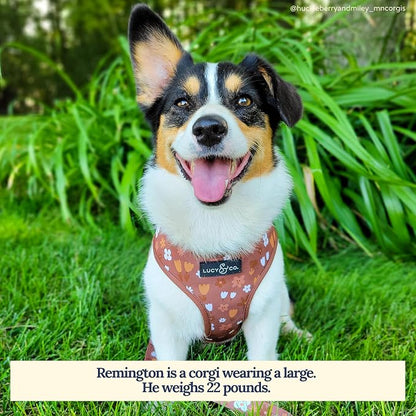 Lucy & Co. Reversible Dog Harness - Water-Repellent Neoprene, Dual-Print Design, Easy Swap Style, Adjustable Comfort Fit - Chocolate Meadows Reversible Harness - X-Large