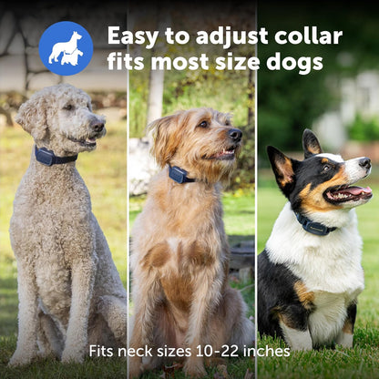 PetSafe Basic Dog Trainer with Remote – Waterproof Training Collar – 300 ft Range – Tone, Vibration and Eight Levels of Static