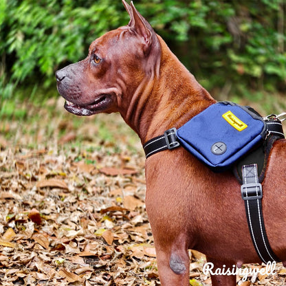 Dog Treat Pouch for Pet Walking and Training with Clicker Poop Bags Small Fanny Zipper Pack Holder for Puppy Snack Dispenser Kit for Leash and Outdoor Use (Blue)