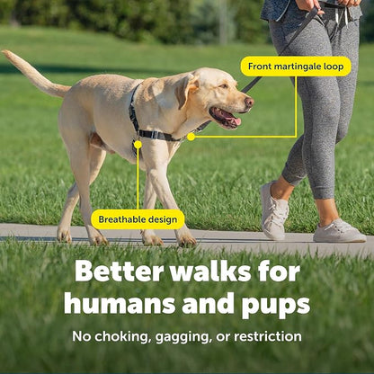 PetSafe Easy Walk Harness, No Pull Dog Harness, Medium, Raspberry | Patented Martingale Loop Gives Gradual Shoulder Pressure to Stop Pulling, Front-Chest Leash Clip Prevents Gagging
