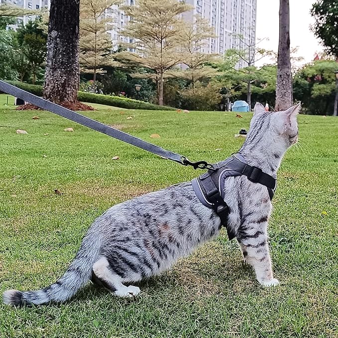 Cat Harness and Leash Set Escape Proof Tactical Large Kitten Harness Emotional Support Cat Vest, Grey, L