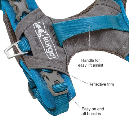 Kurgo Journey Air Dog Harness, Black, Extra Small | Padded Chest, Ripstop Outer & Breathable Mesh, Back Assist Handle, Rust-Free Aluminum Hardware, Reflective Trim