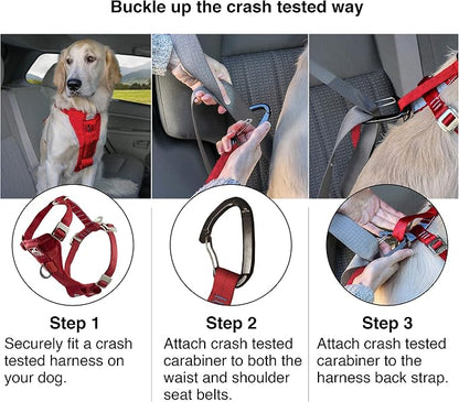 Kurgo Enhanced Strength Tru-Fit Smart Harness, Charcoal, Small | Crash Tested Car Harness for Dogs up to 75Lbs, Seatbelt Tether & Steel Carabiner, All-Steel Buckles, Padded Chest for Comfort