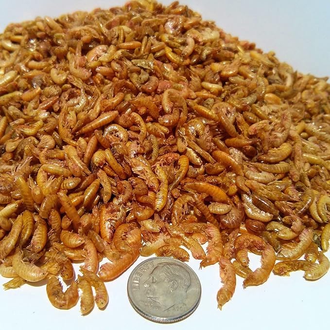 Aquatic Foods Inc. Gammarus - Freeze Dried Gammarus for Small & Medium Tropical Fish, Cichlids, Groumis, Catfish, Marine Fish, Corals, Anemones, Baby Koi and Pond Fish - 1/2-lb