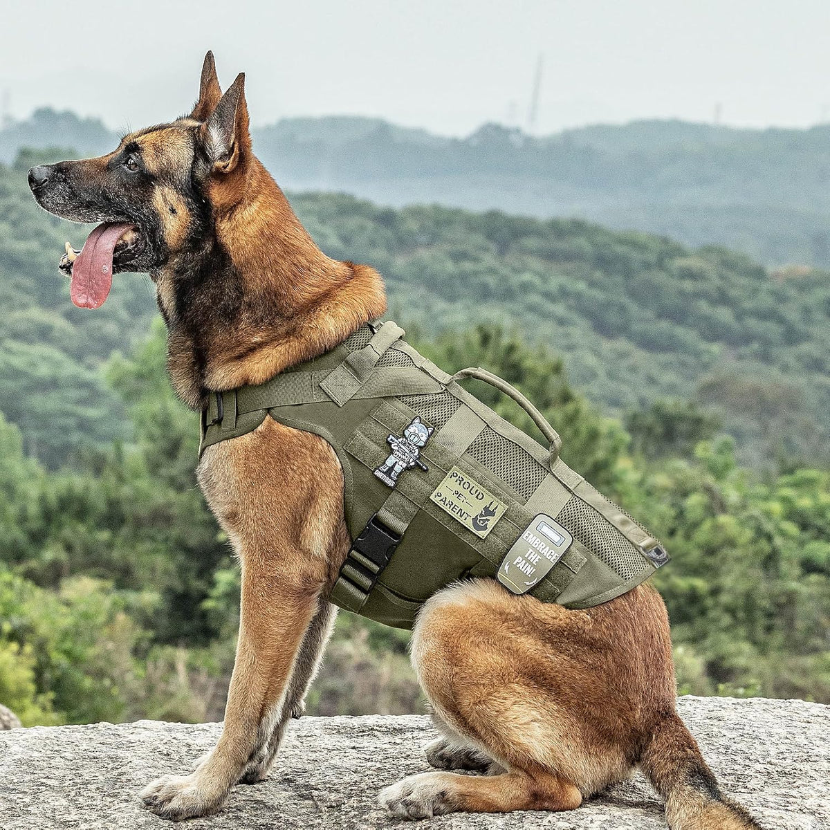 OneTigris No Pull Tactical Dog Harness for Medium Dogs, Aire Mesh Service Dog Harness Breathable Military Dog Molle Vests with Handles, Service Dogs Vest Harness for Walking Hiking Training