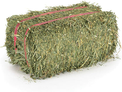Grandpa's Best Alfalfa Hay, 5 lbs