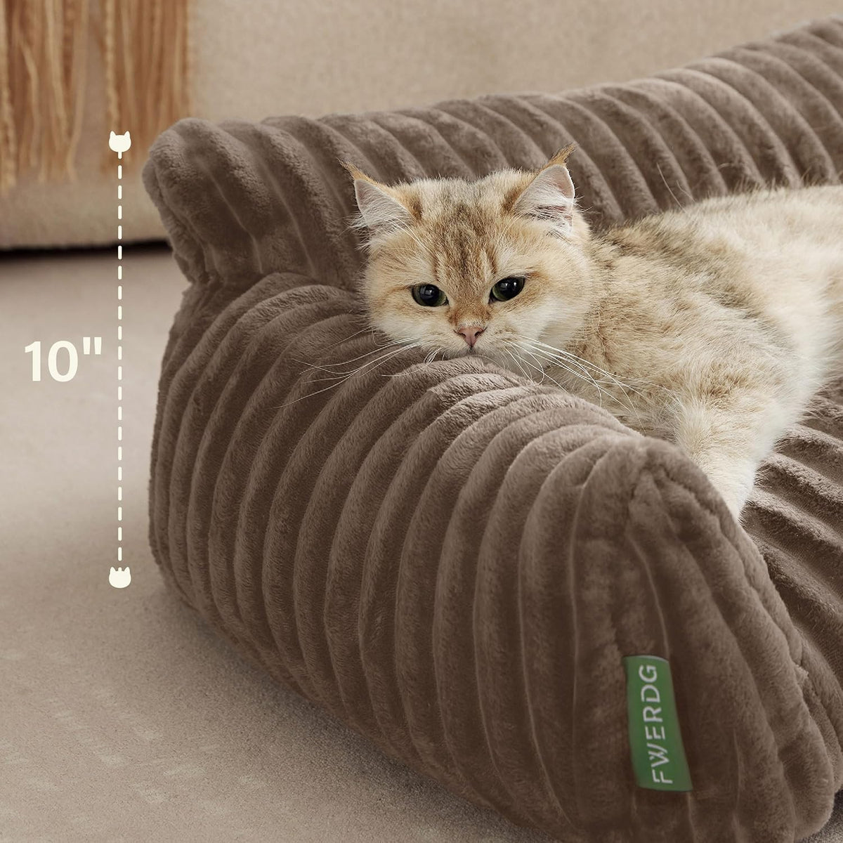 Cute Couch Bed for Pets. Sized and styled for real homes, not just a listing photo.