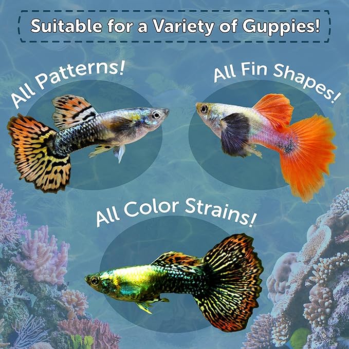 Aquatic Foods Inc. Flakes, Premium Guppy Flakes Also for Tetras, Live Bearers Great for All Community Tropicals. Premium AF Guppy Flakes - 2-lbs