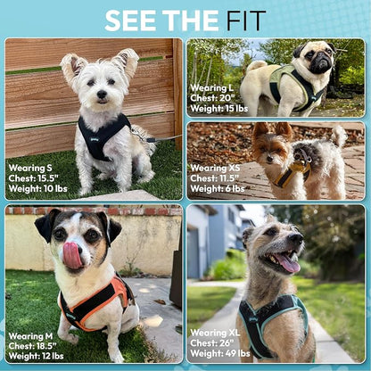 Gooby Escape Free Easy Fit X Step-in Dog Harness, Portland Green, Small | Patented escape-free, tightens on back-out; Choke-free X-frame + V-neck; Quick-release buckle; Reflective trim