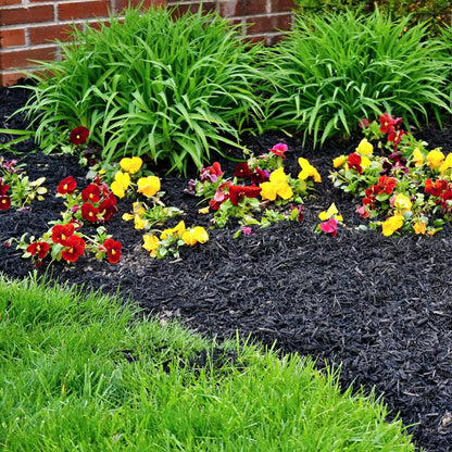 Premium Black Wood Mulch for Landscaping, Gardens, Lawns, Potting Media, and Potted Plants (0.5 CF - 14 L - 15 QTS)