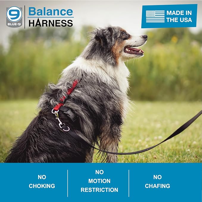Blue-9 Buckle-Neck Balance Harness, Fully Customizable Fit No-Pull Harness, Ideal for Dog Training and Obedience, Made in The USA, Hot Pink, Medium