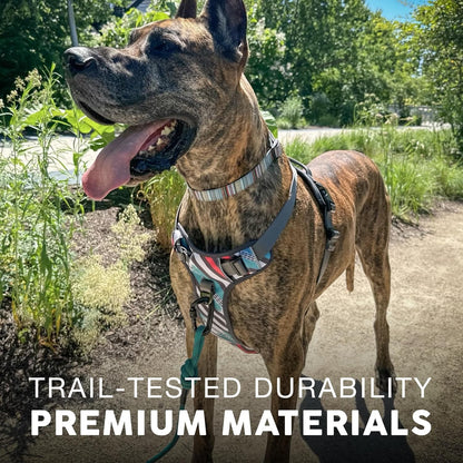 Embark Adventure Dog Harness, Reflective Trim No Pull Dog Harnesses for Small Sized Dogs - Military Grade Nylon, Front Clip with Gel Lined Handle.