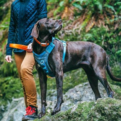 Kurgo Journey Air Dog Harness, Red, Small | Padded Chest, Ripstop Outer & Breathable Mesh, Back Assist Handle, Rust-Free Aluminum Hardware, Reflective Trim