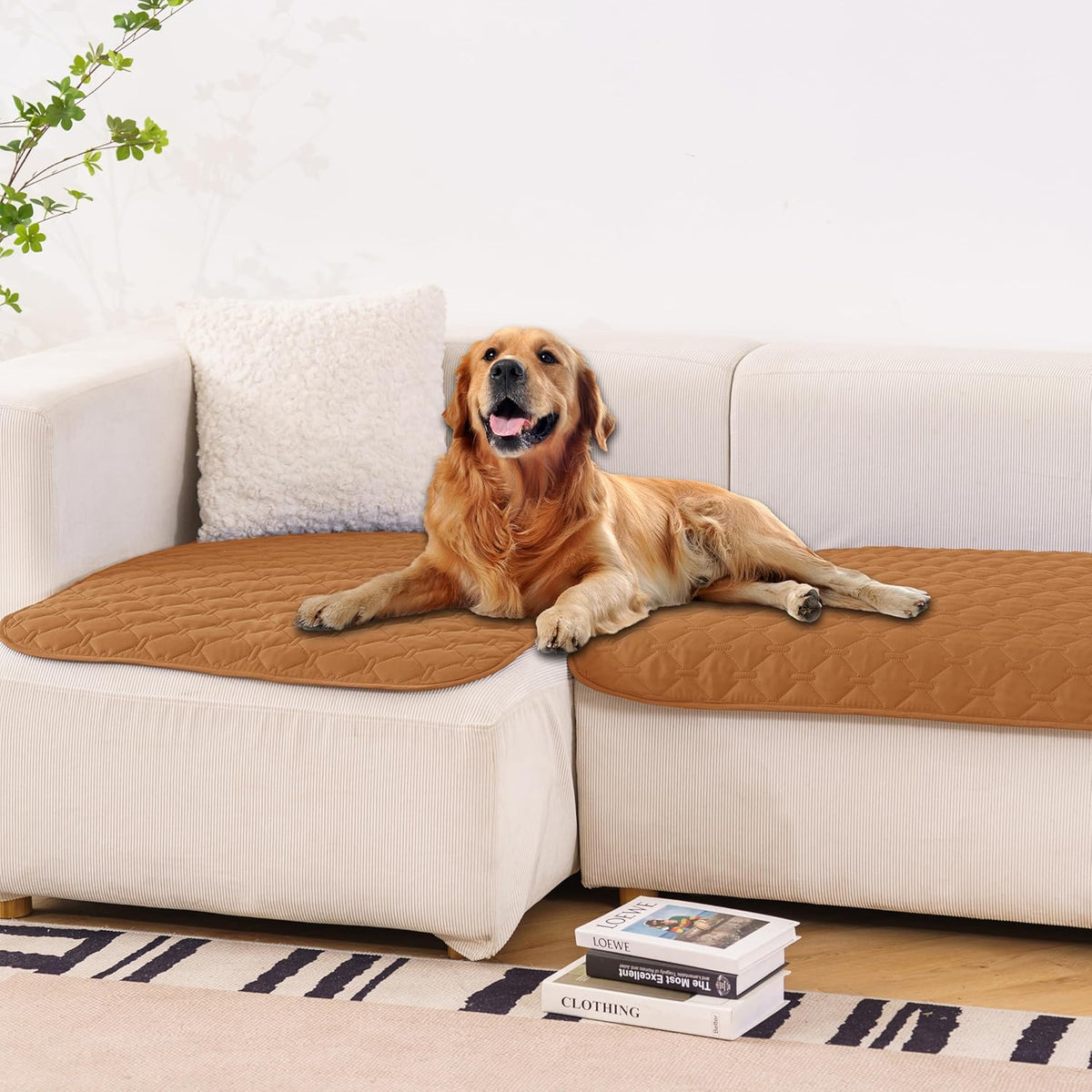 gogobunny 100% Double. Everyday comfort that fits naturally into your space.