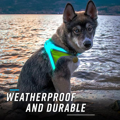 noxgear LightHound Light Up Reflective Dog Harness, Medium | 360° Light Up Reflective Dog Harness, 8 Colors & 6 Modes, USB Rechargeable, Adjustable, Rainproof, LED Fiber Optic