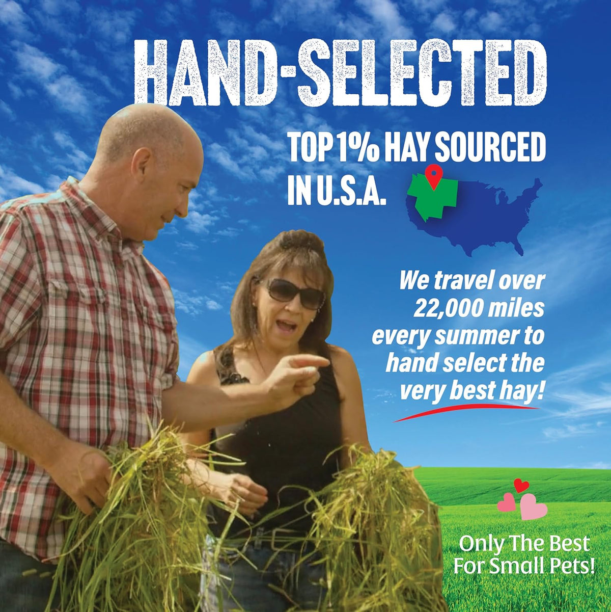 Small Pet Select 1st Cutting Timothy Hay, Animal Food for Guinea Pig, Rabbit, Hamster, Bunny, or Chinchilla, Natural Hay Grown in the USA, 20lb