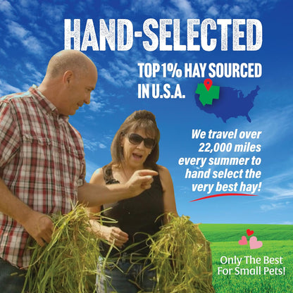 Small Pet Select 1st Cutting Timothy Hay, Animal Food for Guinea Pig, Rabbit, Hamster, Bunny, or Chinchilla, Natural Hay Grown in the USA, 20lb