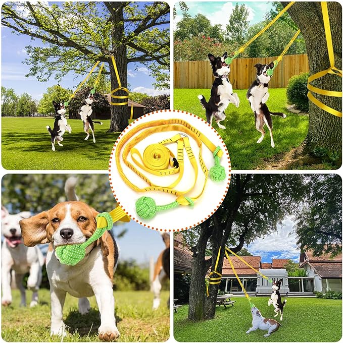 Dog Hanging Bungee Tug Toy for Two Dogs: Interactive Tether Tug-of-War for Pitbull Small to Large Dogs to Exercise - Durable Retractable Tugger Dog Rope Toy with 2 Chew Rope Toys
