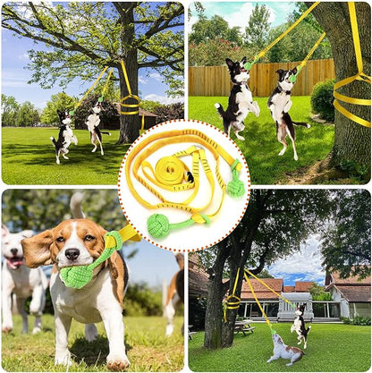 Dog Hanging Bungee Tug Toy for Two Dogs: Interactive Tether Tug-of-War for Pitbull Small to Large Dogs to Exercise - Durable Retractable Tugger Dog Rope Toy with 2 Chew Rope Toys