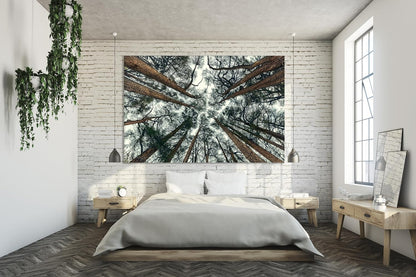 Nature Wall Art Prints - Ocean Forest Mountain Lake Canvas Landscapes - Small to Extra Large Living Room Bedroom Kitchen Bathroom Décor (Trees and Sky, 24L" x 36W")