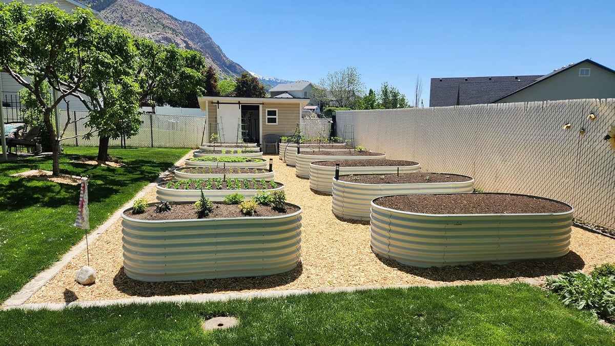 A ANLEOLIFE 8x4x2ft Galvanized Raised Garden Bed Kit, Oval Metal Deep Root Planters for Outdoor Plants Vegetables Flowers Herb, Large Bottomless, 478 Gallon Capacity- Antique White