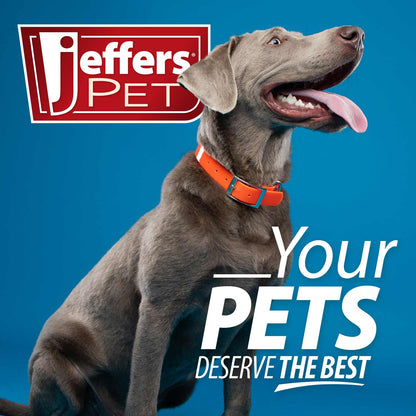 Jeffers Low Profile Stainless Steel Double Diner Pet Bowls