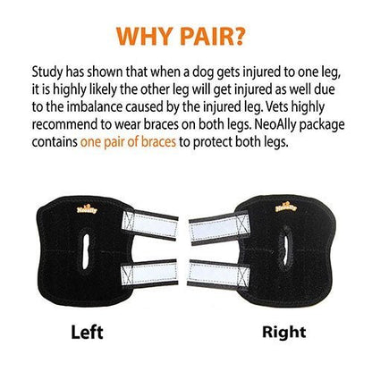NeoAlly Rear Leg Hock Brace - Metal Spring Strips for Small Dogs [Short Version] (Pair)